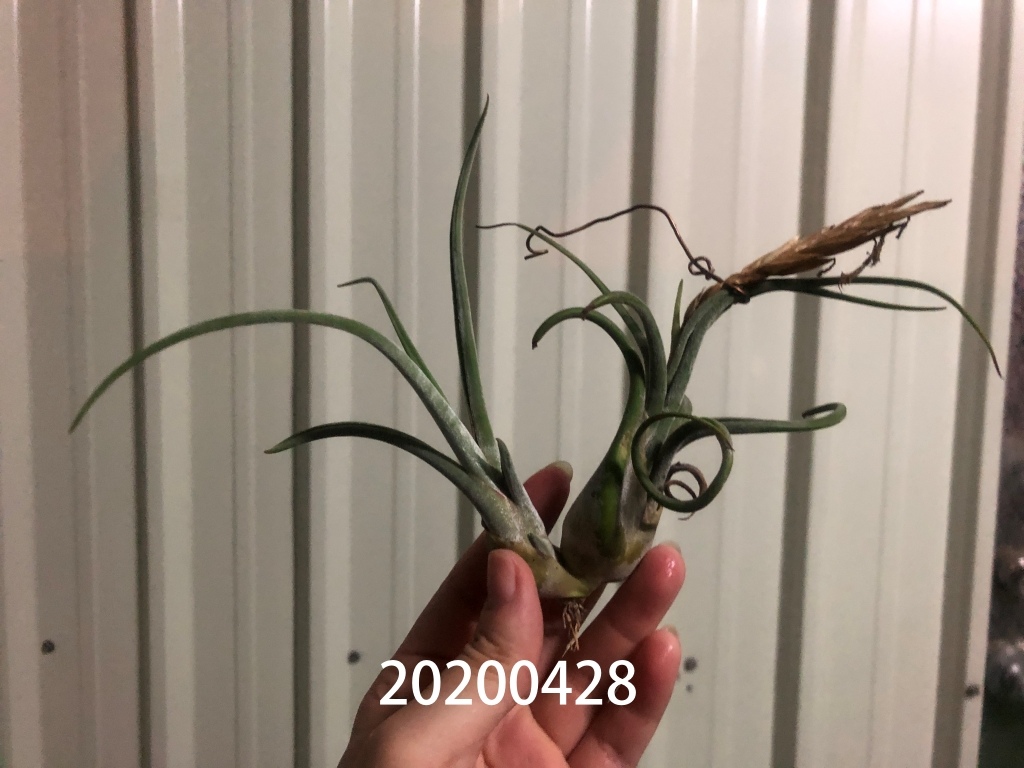 20200428_224537-2376572.jpg 20200428_224537-2376572.jpg