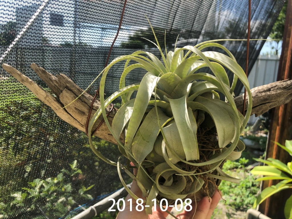 相片 2018-10-8 上午9 32 50.jpg 相片 2018-10-8 上午9 32 50.jpg