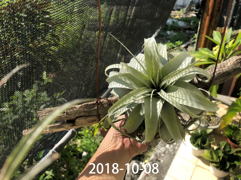 相片 2018-10-8 上午9 32 43.jpg 相片 2018-10-8 上午9 32 43.jpg