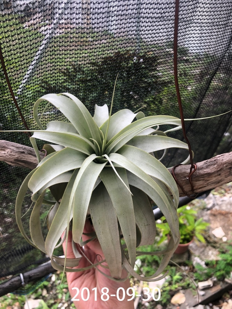 相片 2018-9-30 下午2 30 29.jpg 相片 2018-9-30 下午2 30 29.jpg