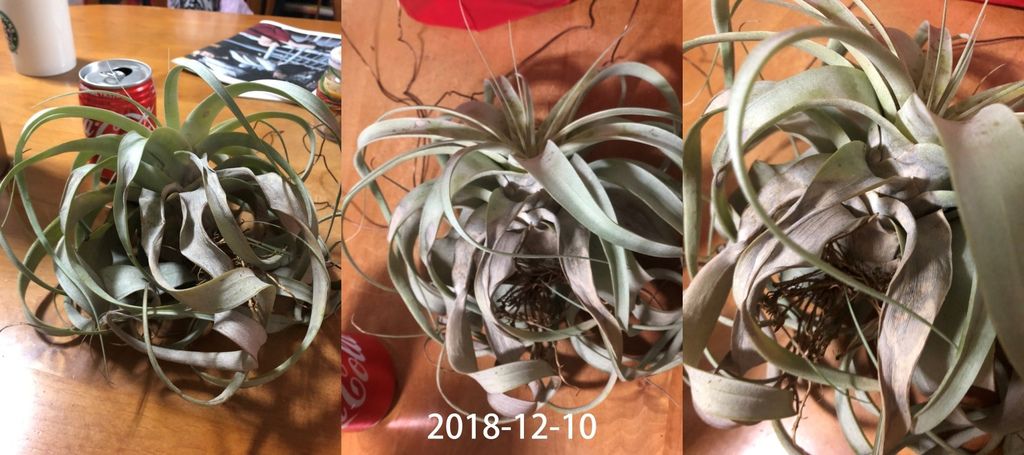 相片 2018-12-10 下午9 44 09-side.jpg 相片 2018-12-10 下午9 44 09-side.jpg