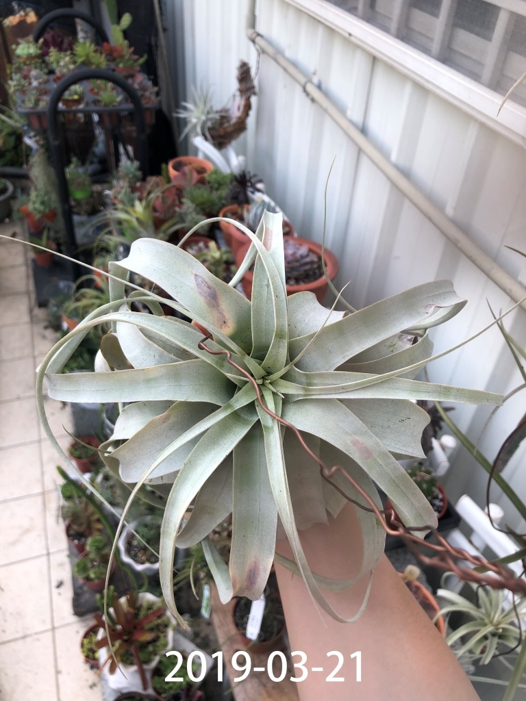 相片 2019-3-21 下午2 55 32.jpg 相片 2019-3-21 下午2 55 32.jpg