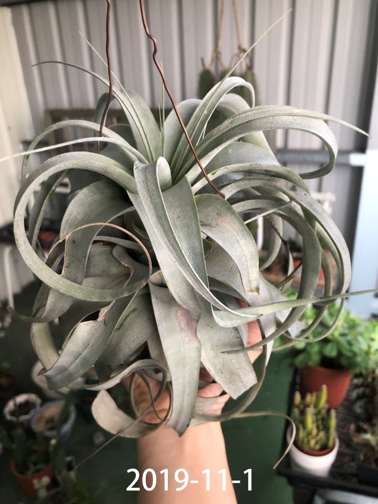 相片 2019-11-1 上午9 32 43.jpg 相片 2019-11-1 上午9 32 43.jpg