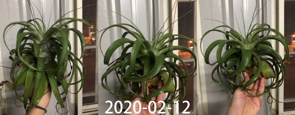 2020-2-12.jpg 2020-2-12.jpg