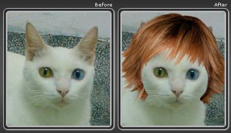 BEFORE AFTER.jpg