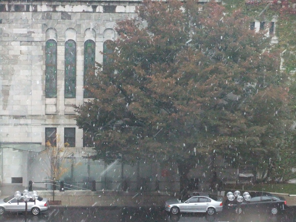 first snowing in 2009