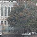 first snowing in 2009