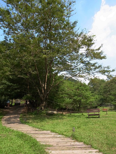 R0011197.jpg R0011197.jpg