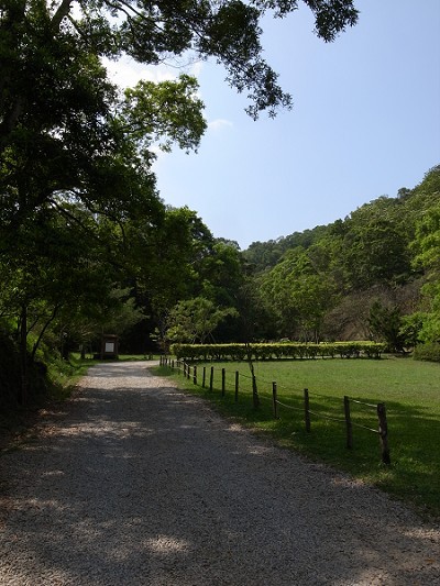 R0011180.jpg R0011180.jpg