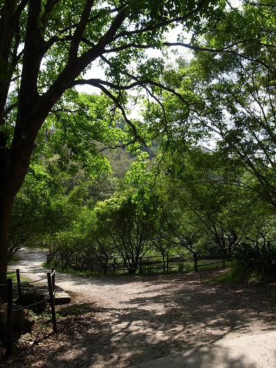 R0011186.jpg R0011186.jpg