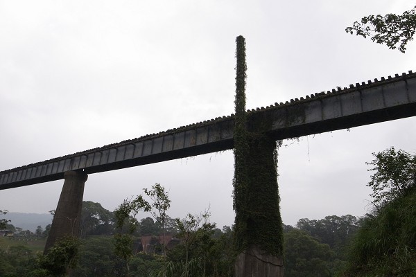 R0012619.JPG R0012619.JPG