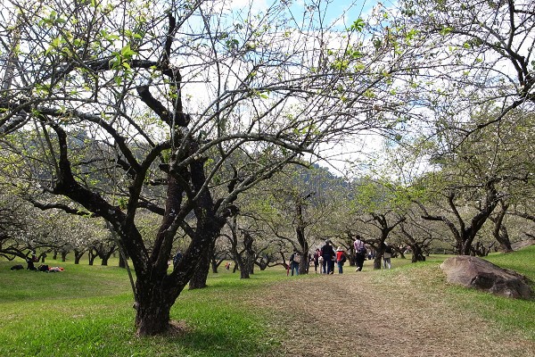 R0016649.JPG R0016649.JPG