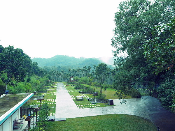 R0028748.JPG R0028748.JPG