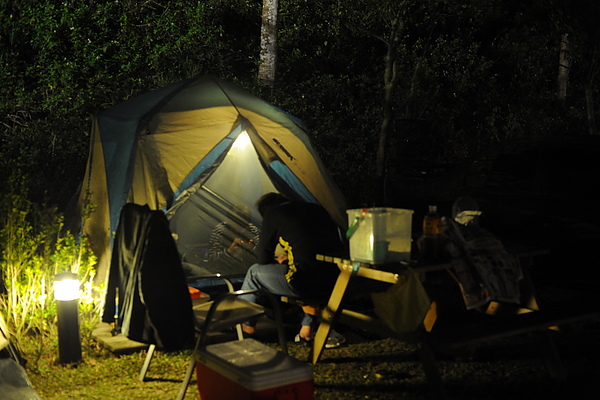 DSC_2941.JPG