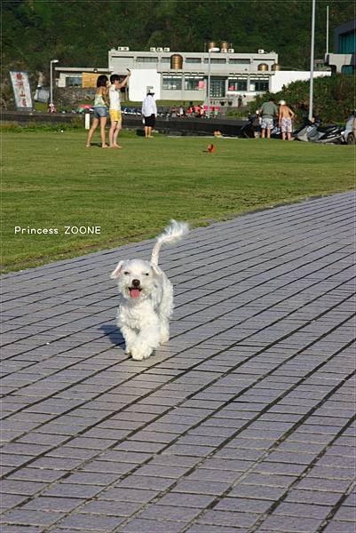 IMG_9410.JPG IMG_9410.JPG