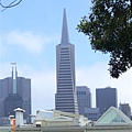 在Coit tower 看到的Transamerica pyramid.JPG