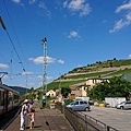 404610.jpg