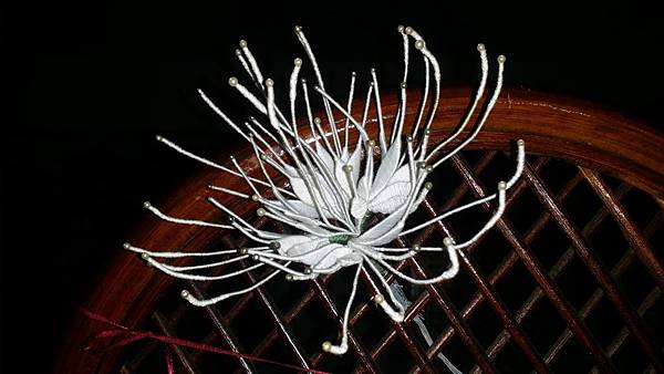 白曼珠沙華 白曼珠沙華