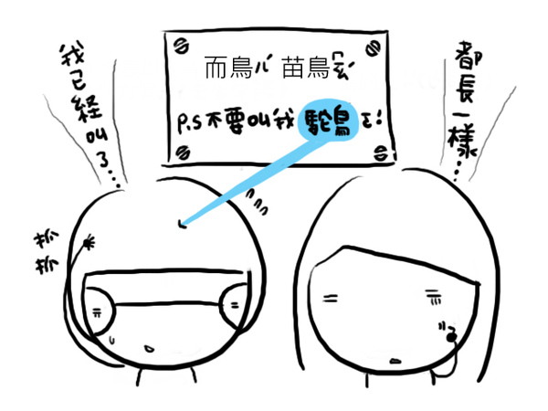 19.jpg 19.jpg