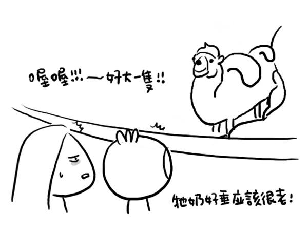 35.jpg 35.jpg
