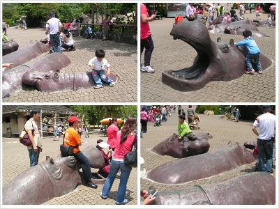 厭世河馬.jpg 厭世河馬.jpg