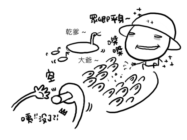 13.jpg 13.jpg