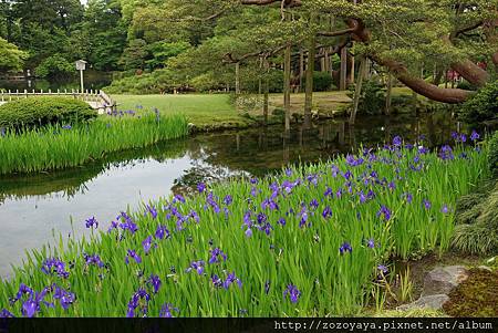 立山黑部親子遊day2 鳶尾花盛開的金澤兼六園 好日子備忘錄 痞客邦 立山黑部親子遊day2 鳶尾花盛開的金澤兼六園 好日子備忘錄 痞客邦