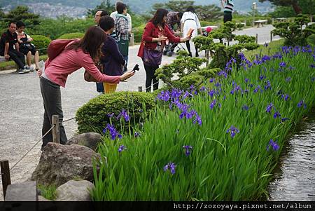 立山黑部親子遊day2 鳶尾花盛開的金澤兼六園 好日子備忘錄 痞客邦 立山黑部親子遊day2 鳶尾花盛開的金澤兼六園 好日子備忘錄 痞客邦