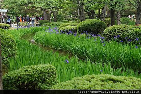 立山黑部親子遊day2 鳶尾花盛開的金澤兼六園 好日子備忘錄 痞客邦 立山黑部親子遊day2 鳶尾花盛開的金澤兼六園 好日子備忘錄 痞客邦
