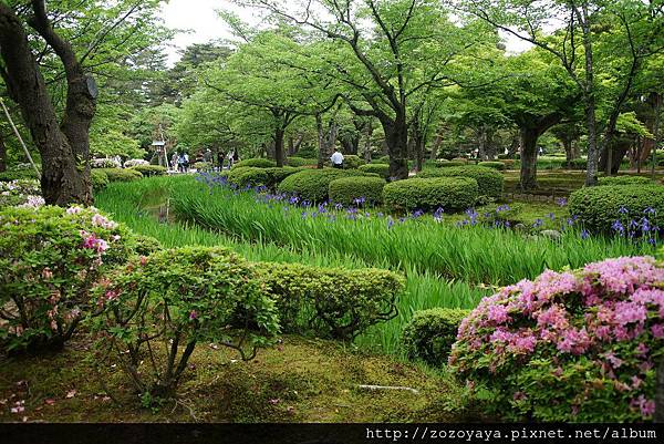 立山黑部親子遊day2 鳶尾花盛開的金澤兼六園 好日子備忘錄 痞客邦 立山黑部親子遊day2 鳶尾花盛開的金澤兼六園 好日子備忘錄 痞客邦