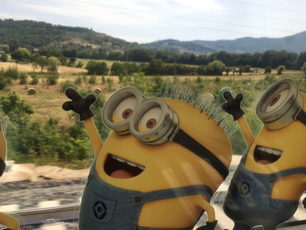 image image