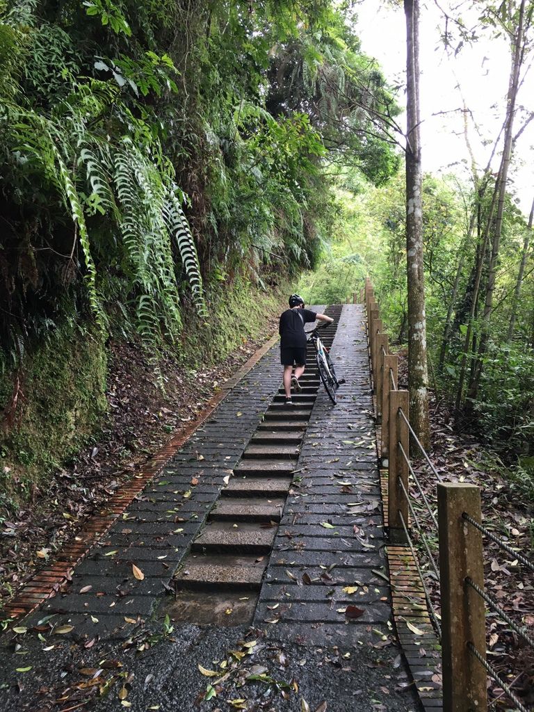 S__55230480.jpg S__55230480.jpg