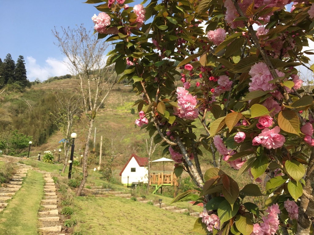 804293.jpg 804293.jpg