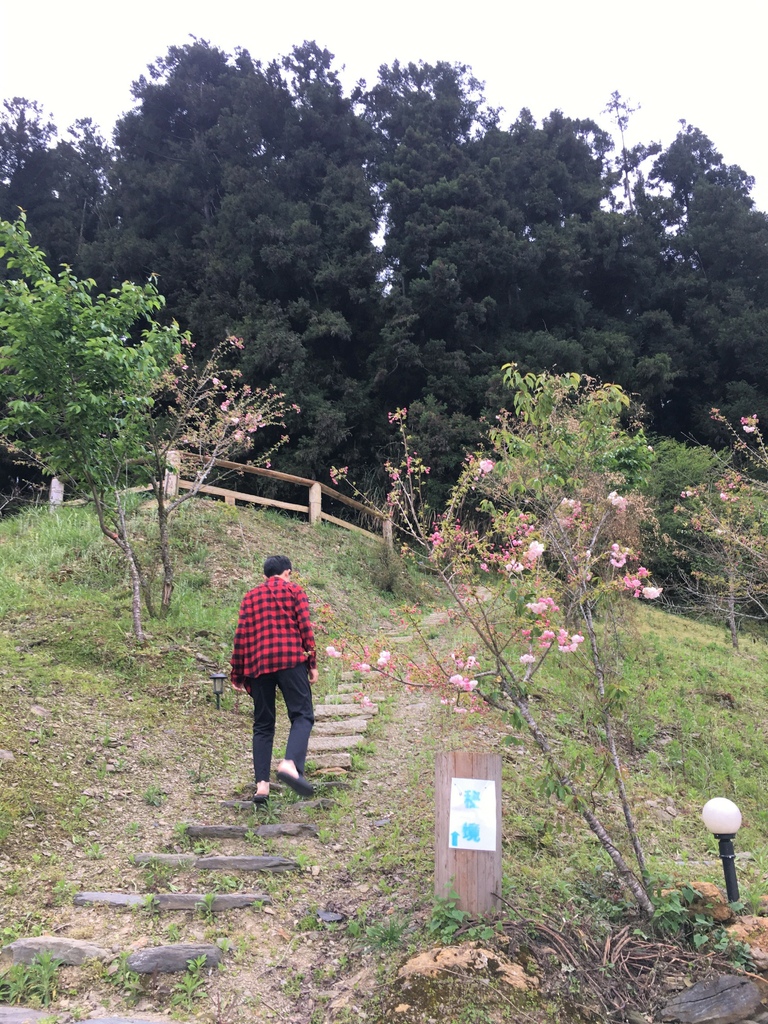 A2E958.jpg A2E958.jpg