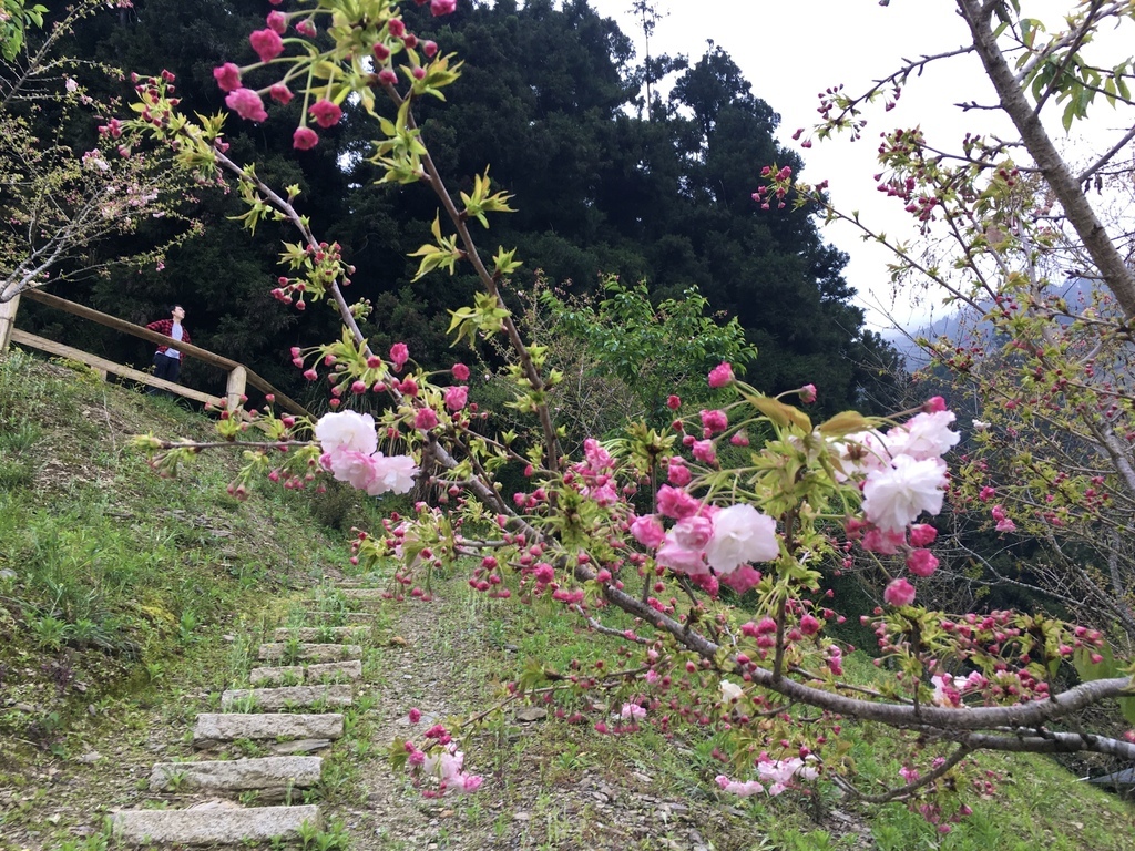 BF4F7AA.jpg BF4F7AA.jpg