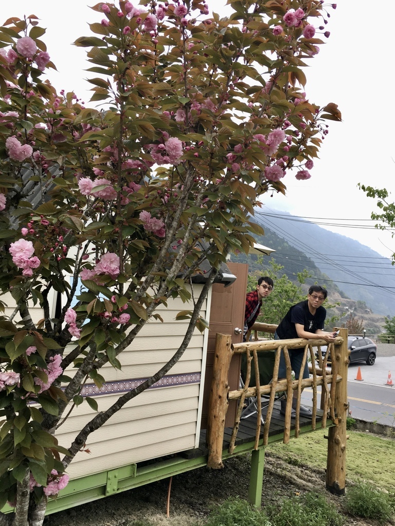 E033DD.jpg E033DD.jpg