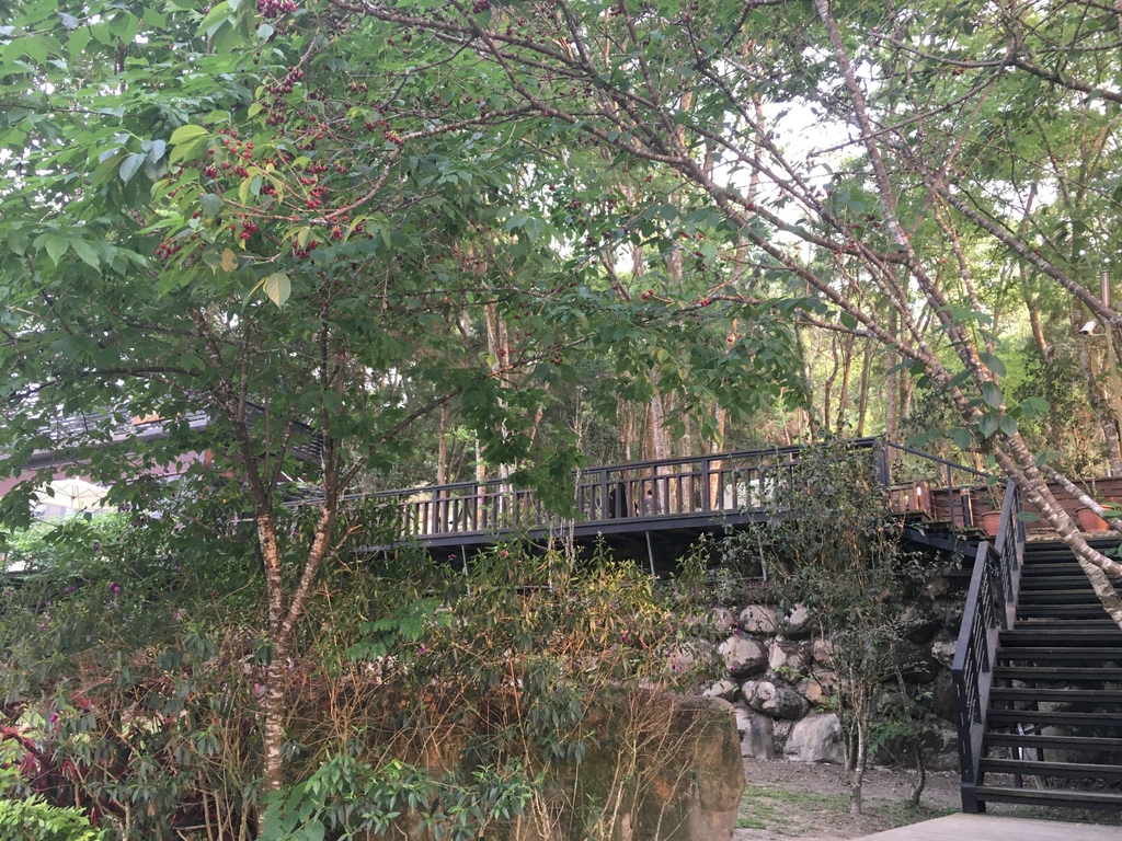 0BFBDADB-A498-4A07-9EC0-66FF08C143E9.jpg 0BFBDADB-A498-4A07-9EC0-66FF08C143E9.jpg