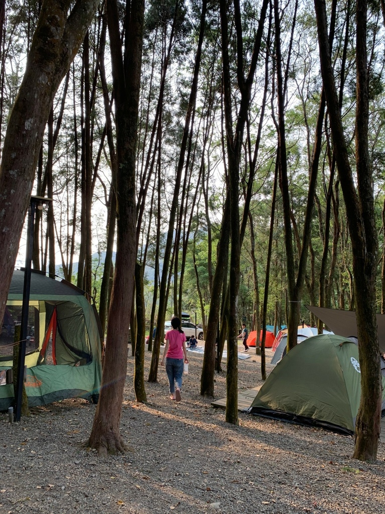 3746FF.jpg 3746FF.jpg