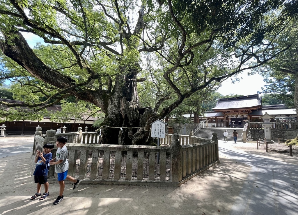 熱到爆的島波海道(下篇)：大三島大山神社+宗方港搭船到今治