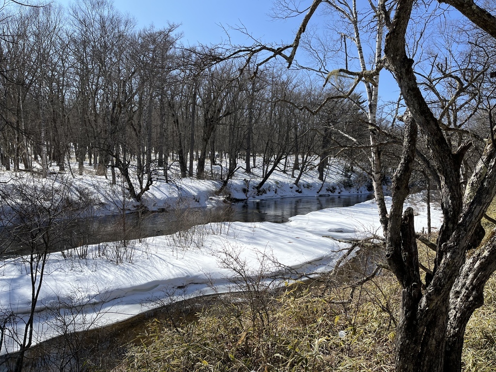 奧日光~戰場之原雪地健行