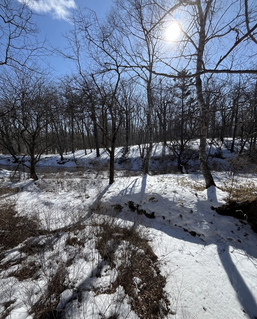 奧日光~戰場之原雪地健行