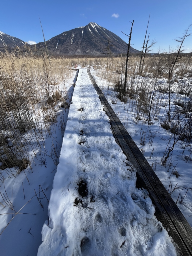 奧日光~戰場之原雪地健行