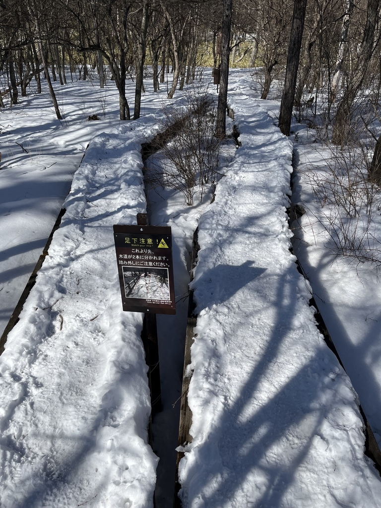 奧日光~戰場之原雪地健行