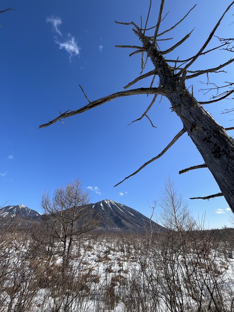 奧日光~戰場之原雪地健行