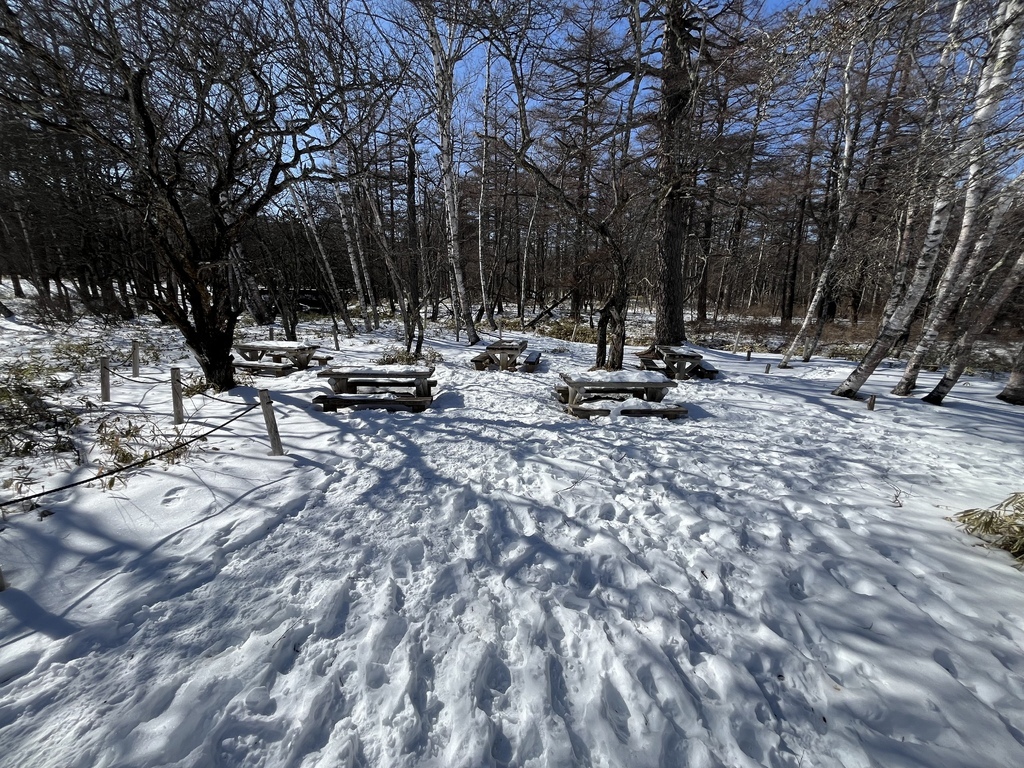 奧日光~戰場之原雪地健行