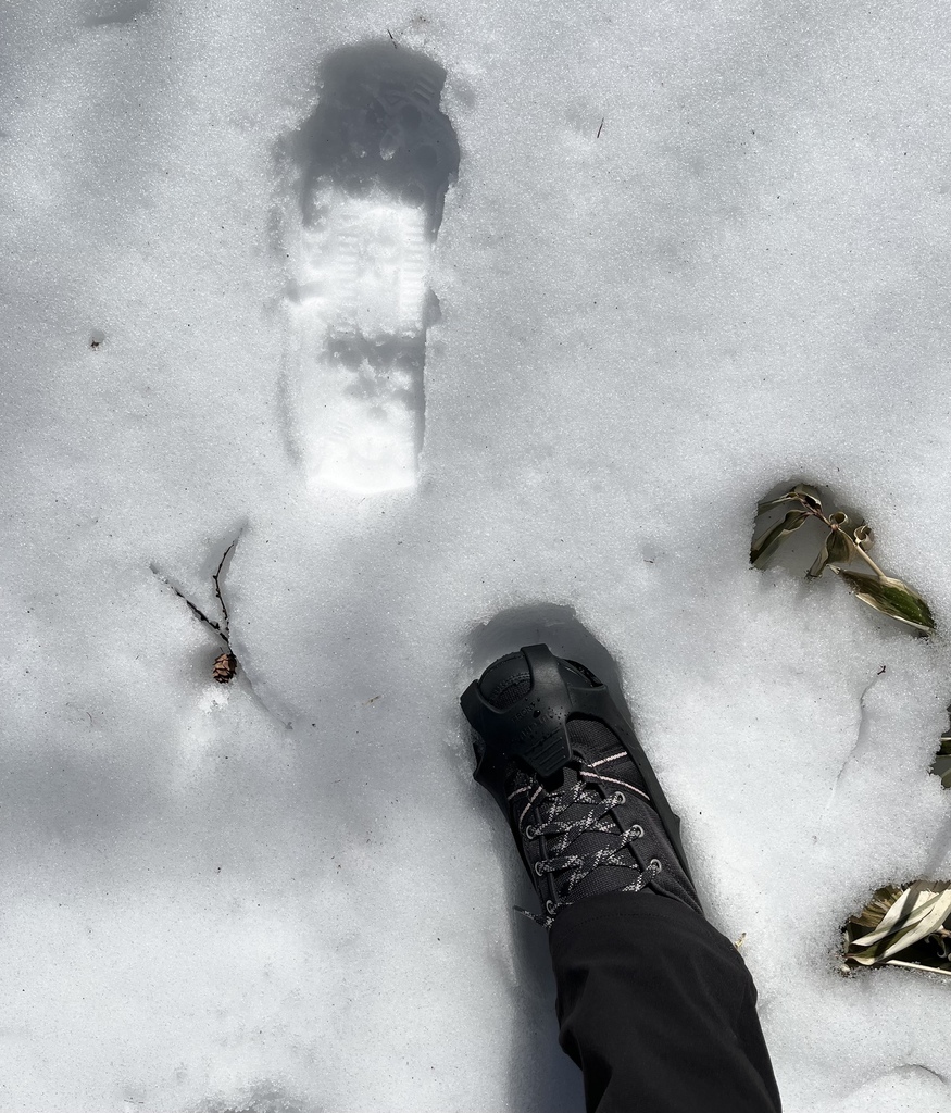 奧日光~戰場之原雪地健行