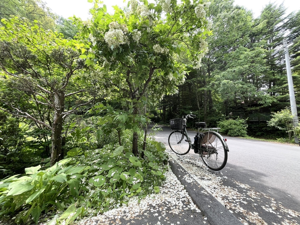 輕井澤單車之旅~雲場池+石之教堂+榆樹街小鎮