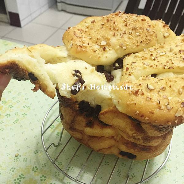 IMG_8215-.JPG IMG_8215-.JPG