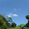 SAM_3375 (小型).JPG