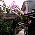 20111010新竹北埔